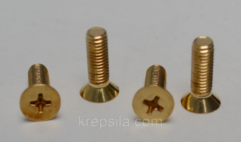Гвинт латунний M5x15