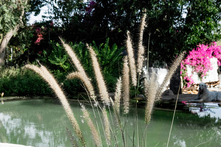 Озерна мембрана Natural Pools, Eco green 7219 зелена, армована 1.5 мм, 1.65мх25м